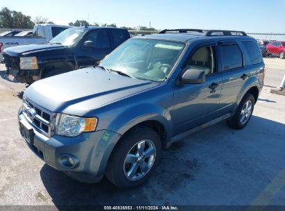 Lot #3035083599 2011 FORD ESCAPE XLT