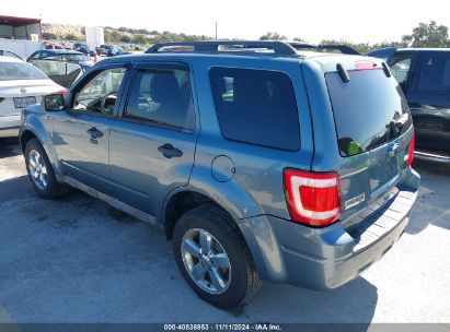 Lot #3035083599 2011 FORD ESCAPE XLT