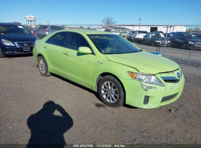 Lot #2992821822 2010 TOYOTA CAMRY HYBRID