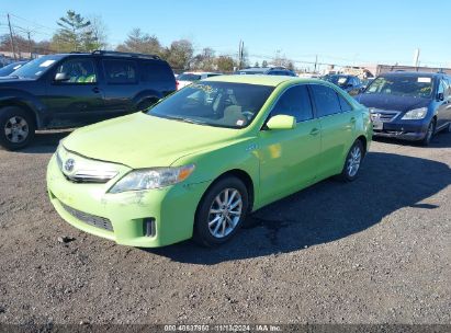 Lot #2992821822 2010 TOYOTA CAMRY HYBRID