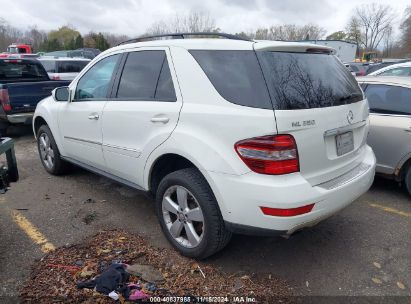 Lot #2992821810 2009 MERCEDES-BENZ ML 350 4MATIC