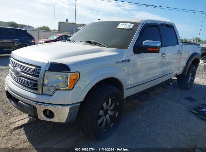 Lot #3052075348 2010 FORD F-150 FX4/HARLEY-DAVIDSON/KING RANCH/LARIAT/PLATINUM/XL/XLT