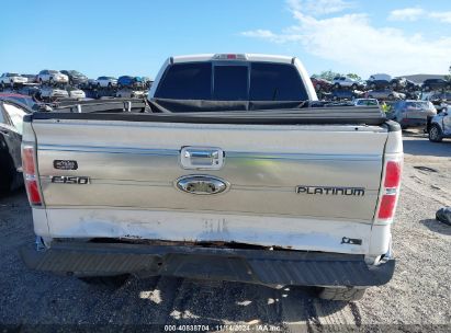 Lot #3052075348 2010 FORD F-150 FX4/HARLEY-DAVIDSON/KING RANCH/LARIAT/PLATINUM/XL/XLT