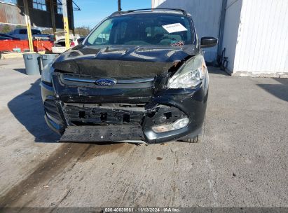 Lot #3005345028 2013 FORD ESCAPE SE