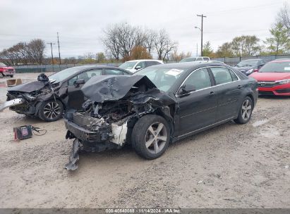 Lot #3035072118 2011 CHEVROLET MALIBU 1LT