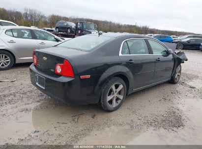 Lot #3035072118 2011 CHEVROLET MALIBU 1LT