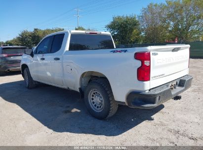 Lot #2989127377 2021 CHEVROLET SILVERADO 1500 4WD  STANDARD BED WT