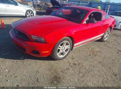 Lot #3035083222 2010 FORD MUSTANG V6/V6 PREMIUM