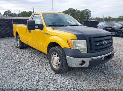 Lot #2992821532 2011 FORD F150