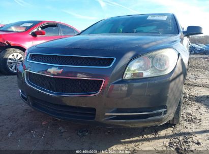 Lot #3052075236 2011 CHEVROLET MALIBU 1LT