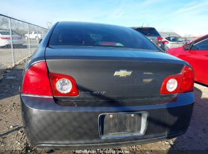 Lot #3052075236 2011 CHEVROLET MALIBU 1LT