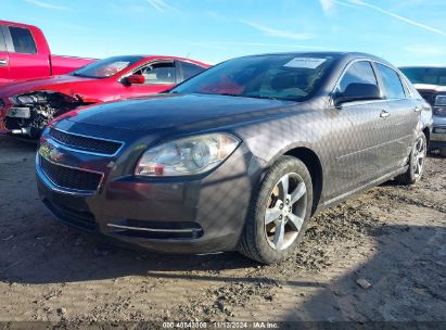 Lot #3052075236 2011 CHEVROLET MALIBU 1LT