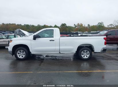 Lot #3035072030 2023 CHEVROLET SILVERADO 1500 2WD  LONG BED WT