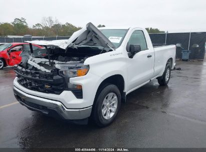 Lot #3035072030 2023 CHEVROLET SILVERADO 1500 2WD  LONG BED WT