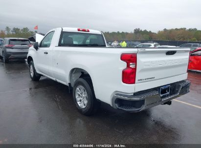 Lot #3035072030 2023 CHEVROLET SILVERADO 1500 2WD  LONG BED WT