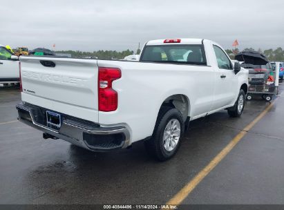 Lot #3035072030 2023 CHEVROLET SILVERADO 1500 2WD  LONG BED WT