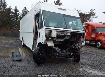 Lot #3050079663 2019 FORD F-59 COMMERCIAL STRIPPED