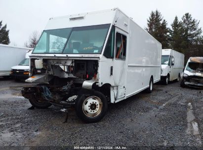 Lot #3050079663 2019 FORD F-59 COMMERCIAL STRIPPED