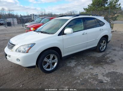 Lot #2997780582 2008 LEXUS RX 400H