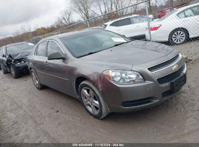 Lot #2992834815 2010 CHEVROLET MALIBU LS