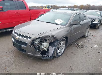 Lot #2992834815 2010 CHEVROLET MALIBU LS