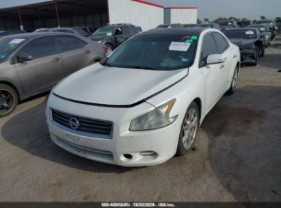 Lot #2997780573 2012 NISSAN MAXIMA 3.5 SV