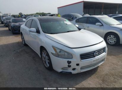 Lot #2997780573 2012 NISSAN MAXIMA 3.5 SV