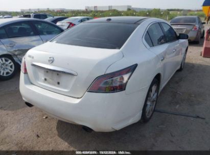 Lot #2997780573 2012 NISSAN MAXIMA 3.5 SV