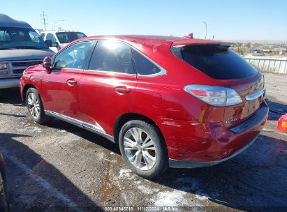 Lot #2992831487 2010 LEXUS RX 450H