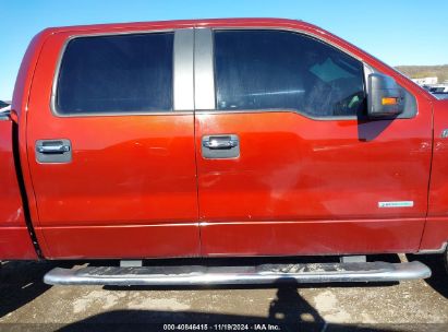 Lot #3035095711 2014 FORD F-150 XLT