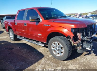 Lot #3035095711 2014 FORD F-150 XLT