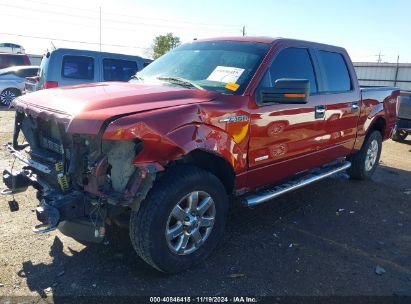 Lot #3035095711 2014 FORD F-150 XLT