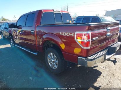 Lot #3035095711 2014 FORD F-150 XLT