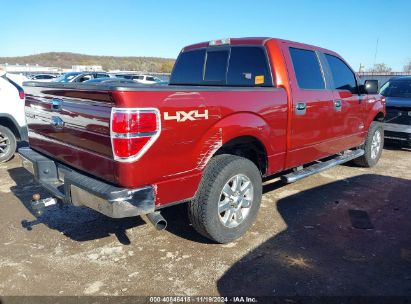 Lot #3035095711 2014 FORD F-150 XLT