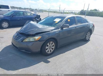 Lot #2994067933 2008 TOYOTA CAMRY HYBRID