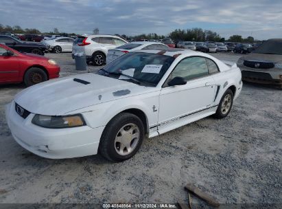 Lot #2995279454 2000 FORD MUSTANG