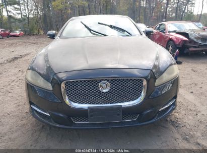 Lot #2992834775 2011 JAGUAR XJ XJL