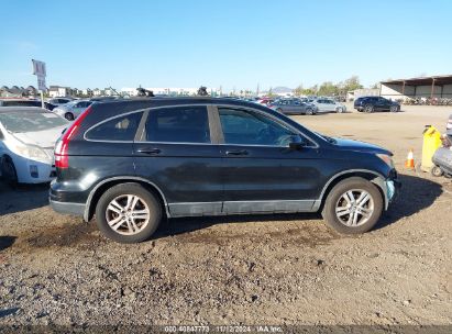 Lot #2992831979 2010 HONDA CR-V EX-L