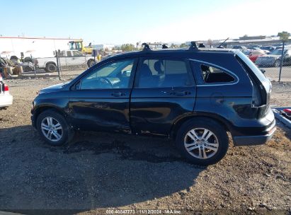 Lot #2992831979 2010 HONDA CR-V EX-L