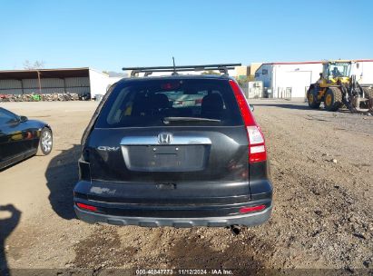 Lot #2992831979 2010 HONDA CR-V EX-L