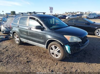 Lot #2992831979 2010 HONDA CR-V EX-L