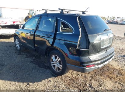 Lot #2992831979 2010 HONDA CR-V EX-L