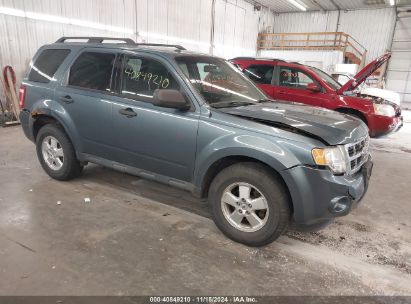 Lot #3035083180 2011 FORD ESCAPE XLT