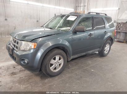 Lot #3035083180 2011 FORD ESCAPE XLT