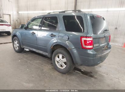 Lot #3035083180 2011 FORD ESCAPE XLT