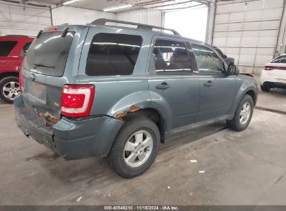 Lot #3035083180 2011 FORD ESCAPE XLT