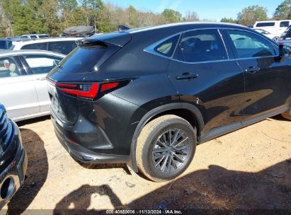 Lot #3037526166 2022 LEXUS NX 250