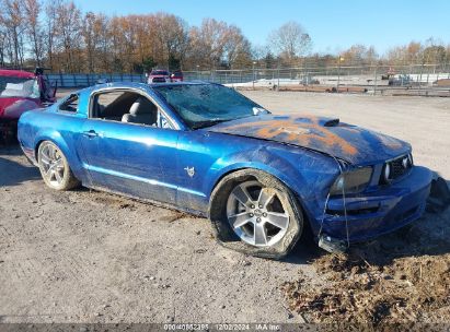 Lot #3035071865 2009 FORD MUSTANG