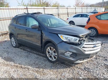 Lot #3035071854 2017 FORD ESCAPE SE