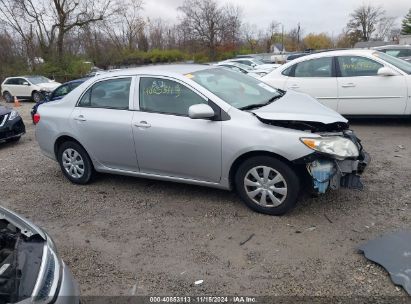 Lot #2992834694 2010 TOYOTA COROLLA LE